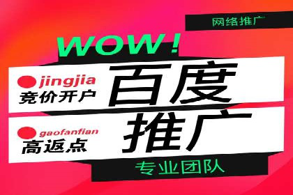 某企业sem账户精准竞价运营全解析